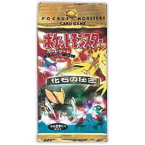 [PCGP3]化石の秘密