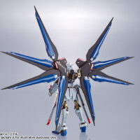 METAL ROBOT魂 <SIDE MS> ストライクフリーダムガンダム 4549660208433