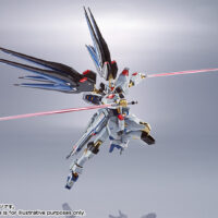 METAL ROBOT魂 <SIDE MS> ストライクフリーダムガンダム 4549660208433