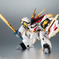 ROBOT魂 <SIDE MASHIN> 龍王丸 30周年特別記念版 4573102550071 公式画像1