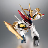 ROBOT魂 <SIDE MASHIN> 龍王丸 30周年特別記念版 4573102550071