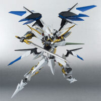 ROBOT魂 <SIDE RM> ヴィルキス 4543112950284