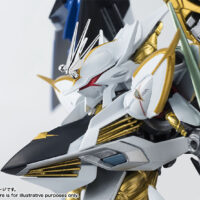 ROBOT魂 <SIDE RM> ヴィルキス 4543112950284