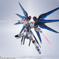 METAL ROBOT魂 <SIDE MS> ストライクフリーダムガンダム [Re:Coordinate] 4573102675491