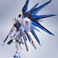 METAL ROBOT魂 <SIDE MS> ストライクフリーダムガンダム [Re:Coordinate] 4573102675491