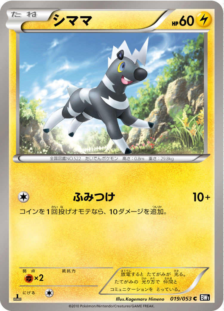 [BW1]C シママ（ブラックコレクション 019/053 ）[BW1b019]