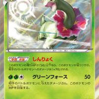 [XY9]R メガニウム（破天の怒り 003/080 草 ）[XY9003]