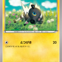 [XY9]C シママ（破天の怒り 031/080 雷 ）[XY9031]