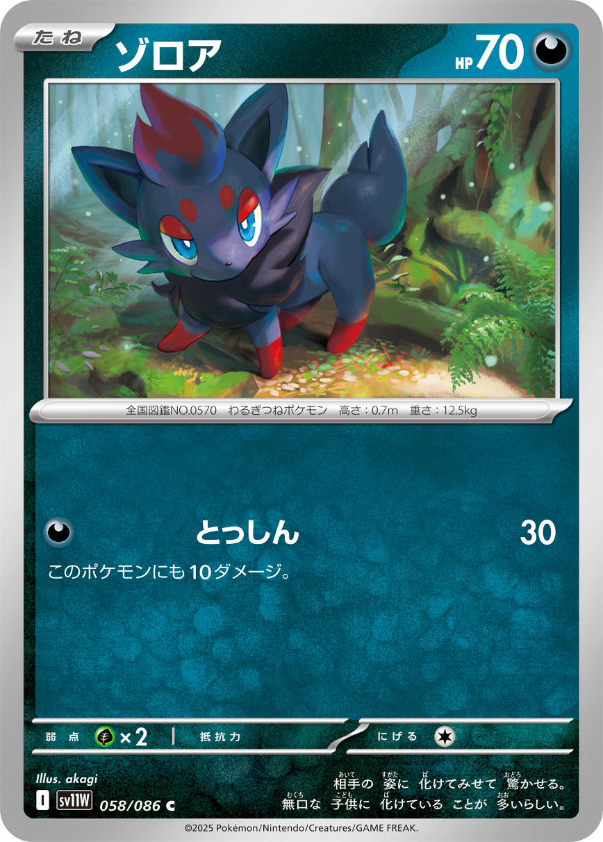 [SV11W]C ゾロア（ホワイトフレア 058/098 Iレギュ）[SV11W058]