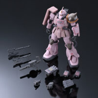 HG 1/144 ザク・デザートタイプ ピンクパンサー隊機
