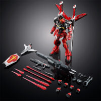RG 1/144 ソードインパルスガンダムSpecII
