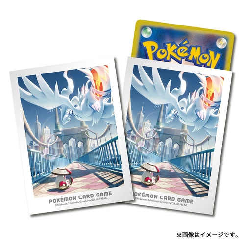 ポケモンカードゲーム デッキシールド イッシュの冒険 レシラム&モロバレル 4521329362458