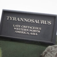 タミヤ 1/35 ティラノサウルス 情景セット 公式画像5