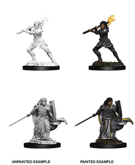 D&D NOLZUR’S MARVELOUS MINIATURES:WAVE 10-Human Paladin 73830 634482738306