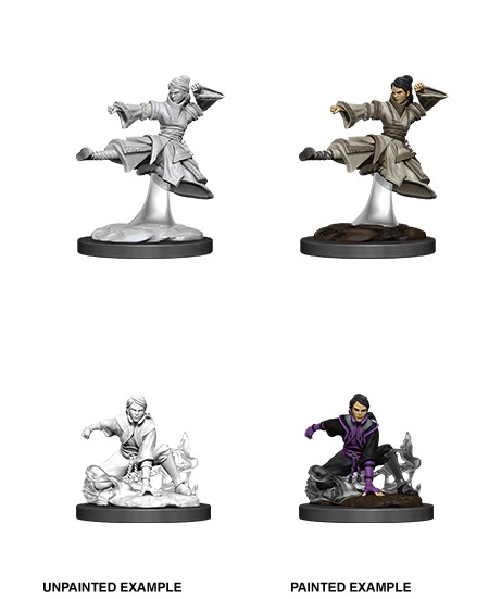 D&D NOLZUR’S MARVELOUS MINIATURES:WAVE 11-Human Monk 90008 634482900086