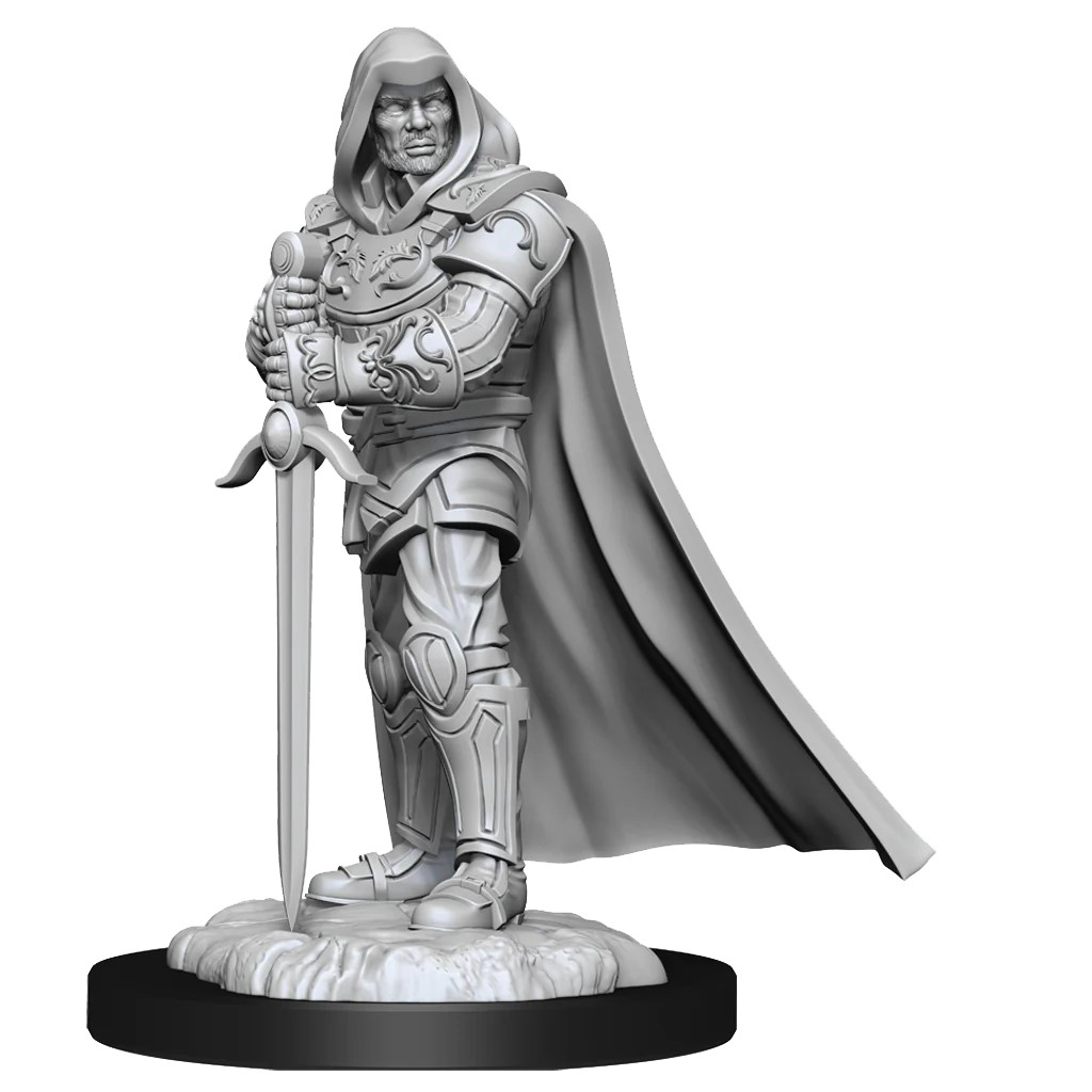 D&D NOLZUR’S MARVELOUS MINIATURES:WAVE 13-Human Paladin 90136 634482901366