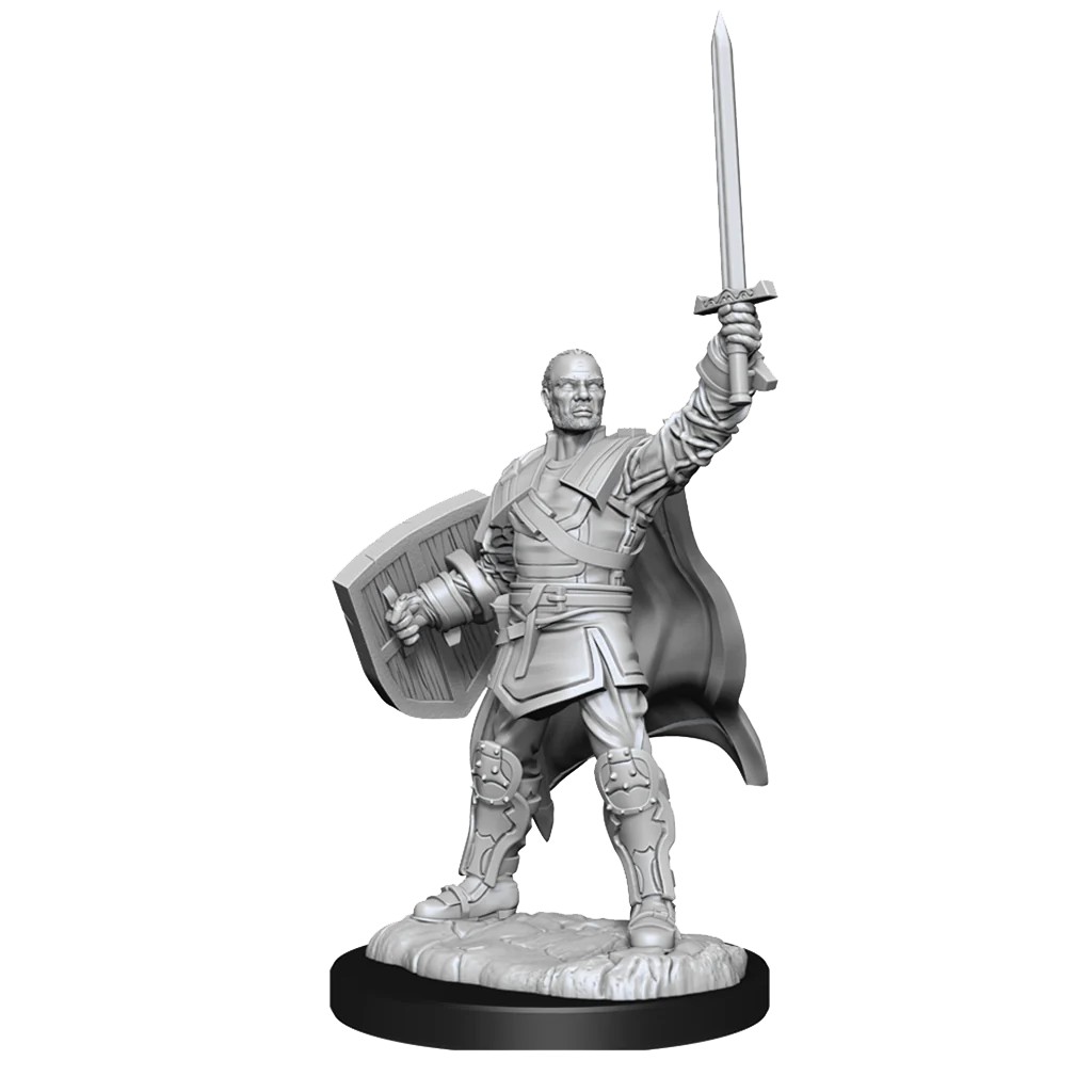 D&D NOLZUR’S MARVELOUS MINIATURES:WAVE 13-Human Paladin 90136 634482901366