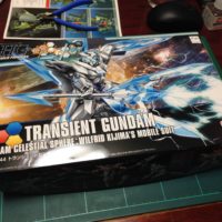 HGBF 1/144 GN-9999 トランジェントガンダム [Transient Gundam] 5055441 4573102554413 0196698 4543112966988