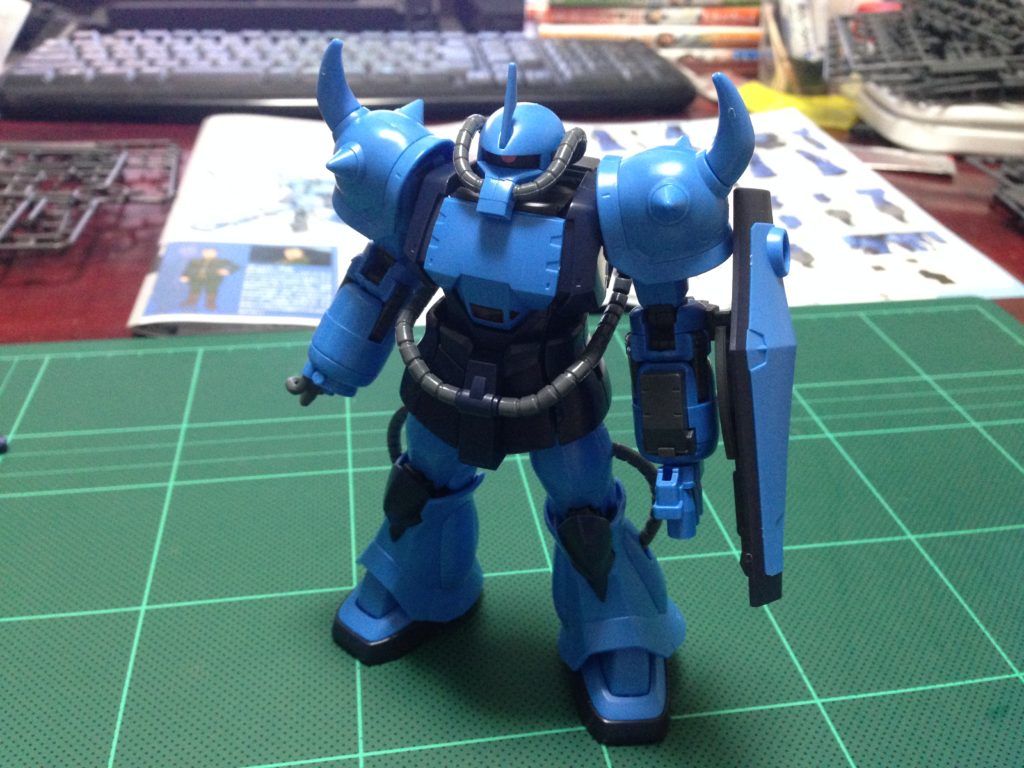 HG 1/144 YMS-07B-0 プロトタイプグフ（戦術実証機） 正面