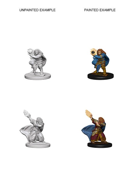 D&D NOLZUR’S MARVELOUS MINIATURES:WAVE 4-Dwarf Wizard(ドワーフ・ウィザード・フィーメイル) 72621 634482726211