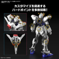 ENTRY GRADE(EG) 1/144 ビルドストライク エクシードギャラクシー（ビルドメタバース）4573102656896 5065689 試作画像4