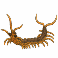 巨大ムカデ(ジャイアント・センチピード)/Giant Centipede【クリーチャー】