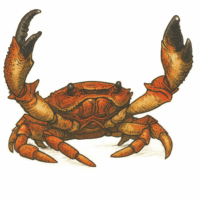 巨大カニ(ジャイアント・クラブ)/Giant Crab【クリーチャー】