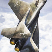 ハセガワ 1/72 “マクロスゼロ” MiG-29（マクロス） 4967834657625