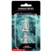 D&D NOLZUR'S MARVELOUS:WAVE 9-Human Druid