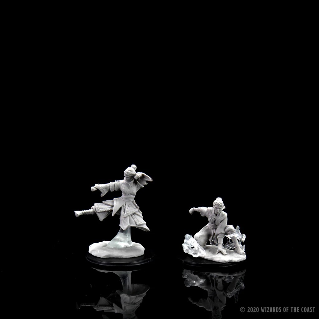 D&D NOLZUR’S MARVELOUS MINIATURES:WAVE 14-Human Monk 90225 634482902257