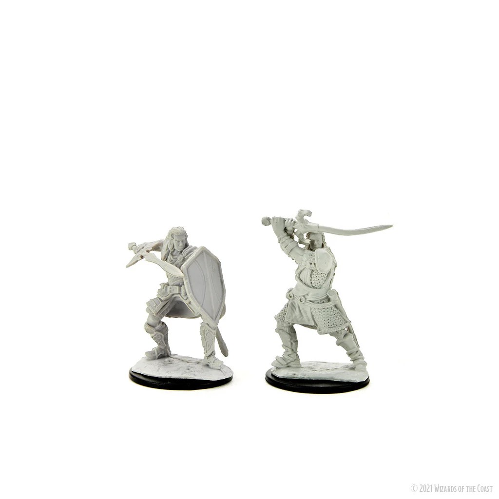 D&D NOLZUR’S MARVELOUS MINIATURES:WAVE 14-Human Paladin 90220 634482902202