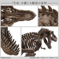 1/32 Imaginary Skeleton ティラノサウルス（恐竜/生き物/古生物） 試作画像4
