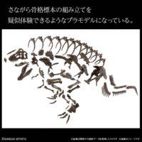 1/32 Imaginary Skeleton ティラノサウルス 試作画像5