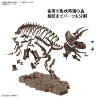 1/32 Imaginary Skeleton トリケラトプス 4573102618016 5061801（恐竜/生き物/古生物） 試作画像4