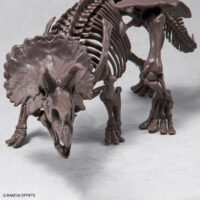 1/32 Imaginary Skeleton トリケラトプス 4573102618016 5061801（恐竜/生き物/古生物） 公式画像6