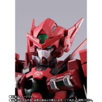 METAL BUILD ガンダムアストレア TYPE-F (GN HEAVY WEAPON SET)