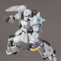 MG 1/100 MS-06R-1 シン・マツナガ専用ザク Ver.2.0