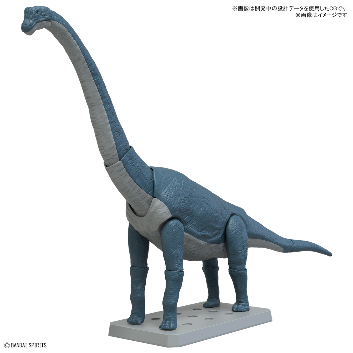プラノサウルス ブラキオサウルス 5067427 4573102674272