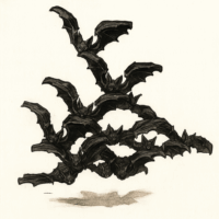 コウモリの大群(スウォーム・オヴ・バッツ)/Swarm of Bats【クリーチャー】